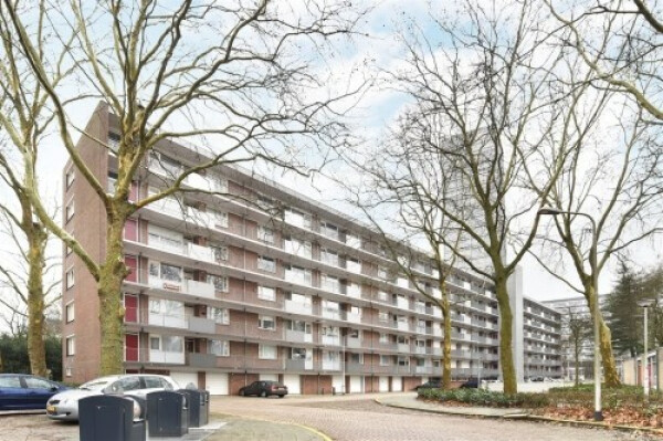 Cederstraat
