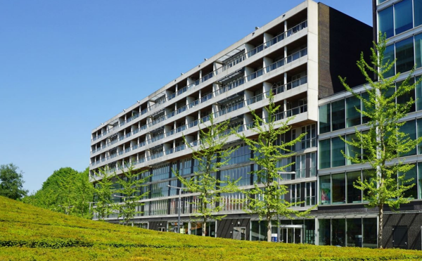 Professor De Moorplein